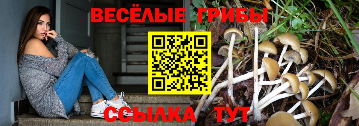 Алапаевск  Псилоцибиновые грибы Cubensis  продажа наркотиков  Вход с VPN  Псилоцибиновые грибы Magic Shrooms 
