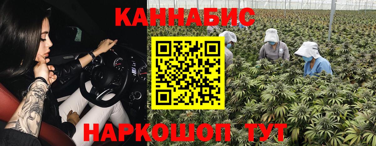 Бошки марихуана OG Kush Алапаевск